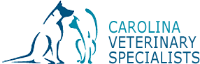 Carolina Veterinary Specliasts, referred through Mount Tabor Animal Hospital, Winston-Salem, NC