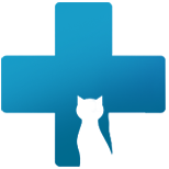 Important Feline Disease Prevention, Mount Tabor Animal Hospital, Winston-Salem, NC