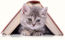 Free eBook, Kitty Basics, from Mount Tabor Animal Hospital, Winston-Salem, NC