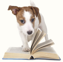 Free eBook, Puppy Basics, from Mount Tabor Animal Hospital, Winston-Salem, NC