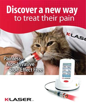 Discover a new way to treat their pain: painless, non-invasive, side-effect free: K-Laser